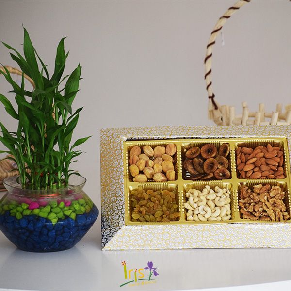 Lucky Bamboo With Dry Fruits Iris Florists mangalore online delivery
