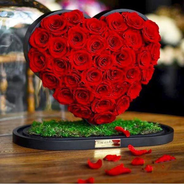 Solid Heart Holder Iris Florists mangalore online delivery of flowers